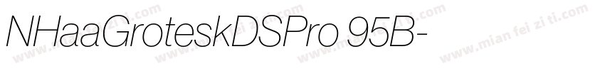 NHaaGroteskDSPro 95B字体转换